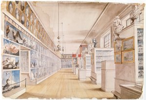 Der Lange Raum, Innenansicht des Vorderzimmers im Peales Museum, 1822