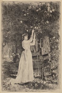 Ohne Titel (Frau pflückt Blüten) von Charles Yardley Turner