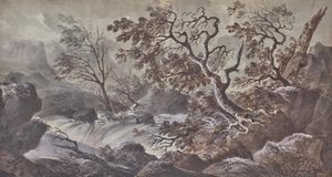 Wildbach von Charles de Thomas