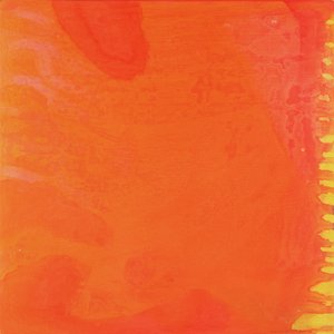Kaninchen Orange