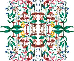 Wilde Pflanzen von Charlotte Orr