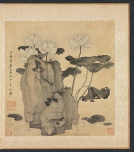 Gemälde nach alten Meistern: Lotus und Felsen von Chen Hongshou