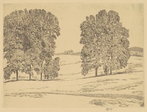 Hickories in einem Heufeld von Childe Hassam