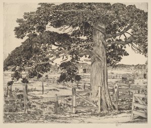 Die große Zeder von Childe Hassam
