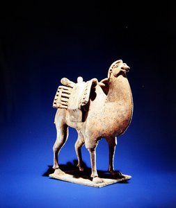 Kamel, Mitte bis Ende 6. Jahrhundert, Nördliche Wei (386-534)-Nördliche Qi (550-577) Dynastie von Chinese School