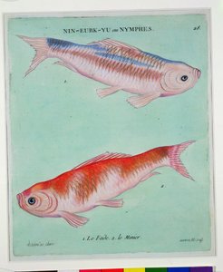 Le Fade, Le Minier, graviert von Francois Nicholas Martinet