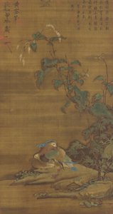 Mandarinenten unter Knöterich, Ming- oder Qing-Dynastie, 15.-18. Jahrhundert