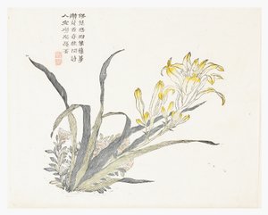 Senfkorngarten von Chinese School