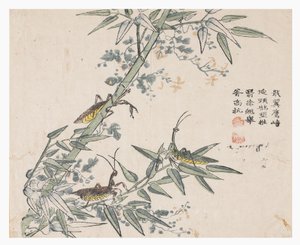 Garten der Senfsamen von Chinese School