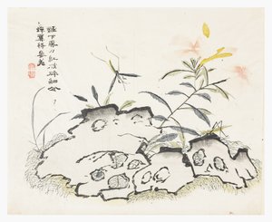 Senfkorn-Garten von Chinese School