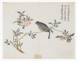Senfkorn-Garten von Chinese School