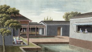 Tee sortieren von Chinese School