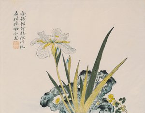 Der Garten so groß wie ein Senfkorn, 17.-18. Jahrhundert von Chinese School