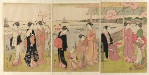 Beobachtung des Muschelsammelns bei Ebbe in Shinagawa (Shinagawa shiohigari kenbutsu) von Chobunsai Eishi