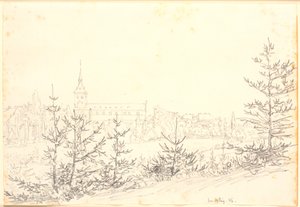 St. Knuds Kirche in Odense von Munkemose aus gesehen