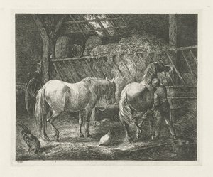 Stallinterieur mit zwei Pferden