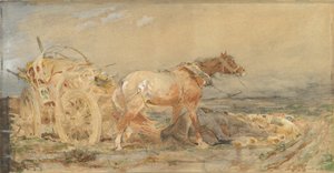 Verlassen: Sümpfe der Donau von Christian Adolf Schreyer