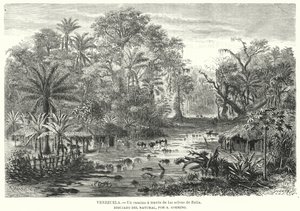 Pfad durch den Dschungel von Zulia, Venezuela von Christian Anton Goering