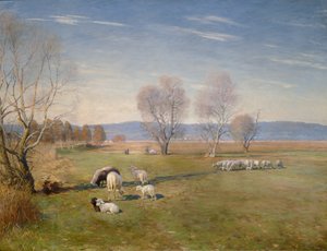 Landschaft mit Schafen
