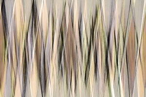 Abstrakte erdige Linien von Christina Sillen