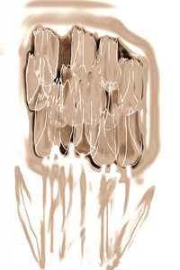 Zarte Sepia-Blumen