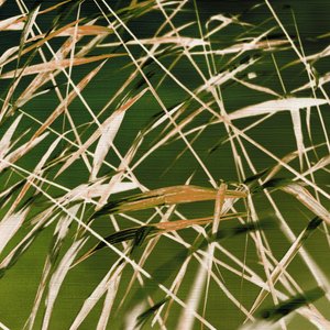 Dynamische Schönheit der Natur von Christina Sillen