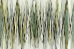 Erdige Geometrische Linien von Christina Sillen