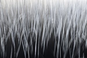 Ätherische vertikale Linien von Christina Sillen