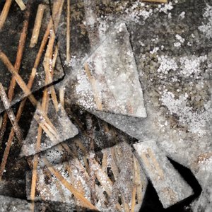 Gefrorene Schilfrohre und Eis von Christina Sillen