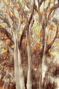 Goldener Herbstwald von Christina Sillen