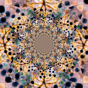 Komplexes organisches Kaleidoskop von Christina Sillen