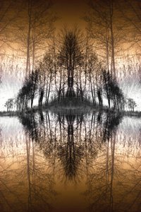 Spiegelnder Waldsee
