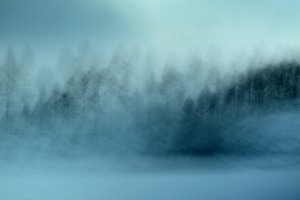 Nebliger Blauer Wald von Christina Sillen