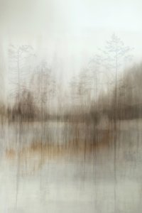 Neblige Waldreflexionen