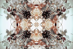 Gedämpftes botanisches Kaleidoskop