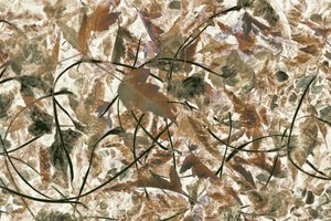 Gedämpftes Waldlaub von Christina Sillen
