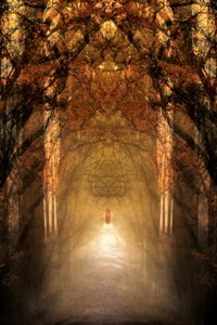 Mystischer Waldtunnel von Christina Sillen