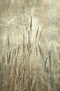 Rustikale hohe Gräser von Christina Sillen