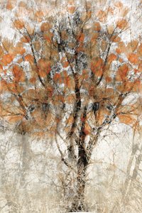 Strukturierter Herbstbaum