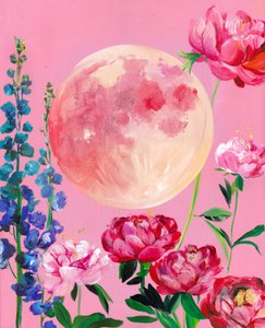 Träumerische rosa Mondblüten von Christine Lindstrom
