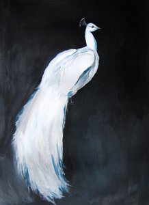 Eleganter Weißer Pfau von Christine Lindstrom