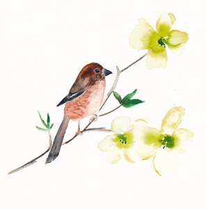 Aquarell Vogel Blumen von Christine Lindstrom