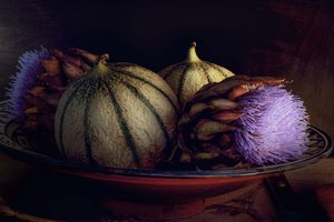 Melonen und Lila Disteln von Christine SUISSIA