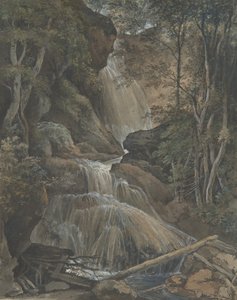 Ein Wasserfall in einem Wald bei Langhennersdorf