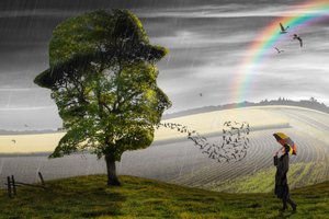 Surrealer Regen und Hoffnung von Christophe Kiciak