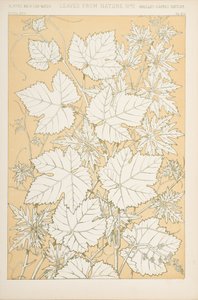 Blätter aus der Natur, 1868 von Christopher Dresser