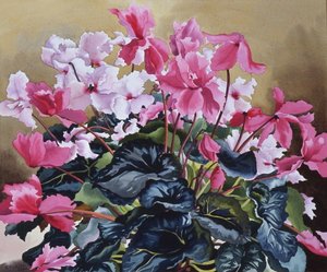 Alpenveilchen, 2004 von Christopher Ryland