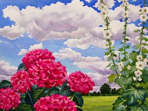 Blumen am Rand einer Wiese, 2008