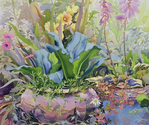 Garten mit Pflanzen, 2000 von Christopher Ryland