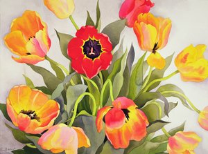 Orange und rote Tulpen